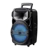 Parlante Sankey PA-8DCN12A